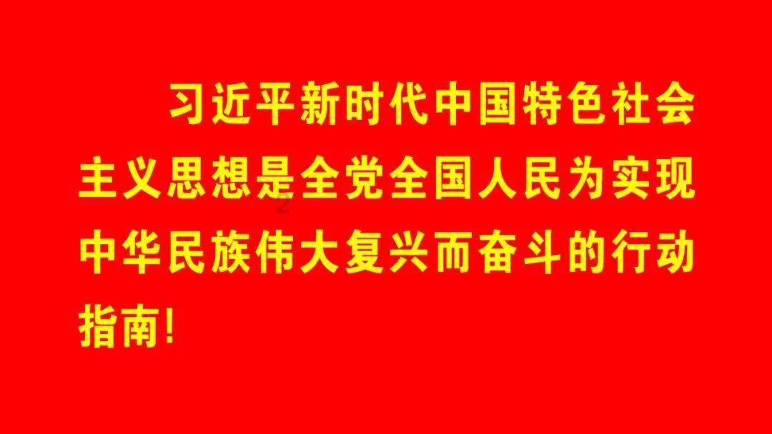巴西ICUMSA 45糖：以创纪录的产量和质量主导全球市场