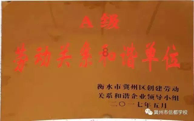 救援小棕兔