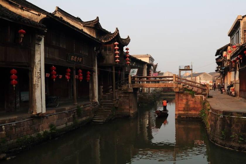 营救小乌龟
